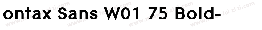 ontax Sans W01 75 Bold字体转换